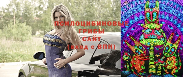 стафф Баксан